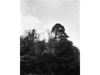 [img]