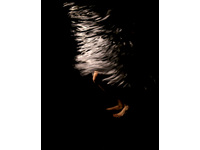 [img]