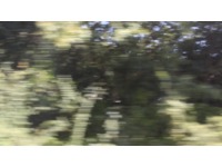 [img]