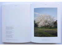 [img]