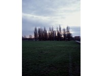 [img]