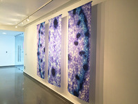 [img]